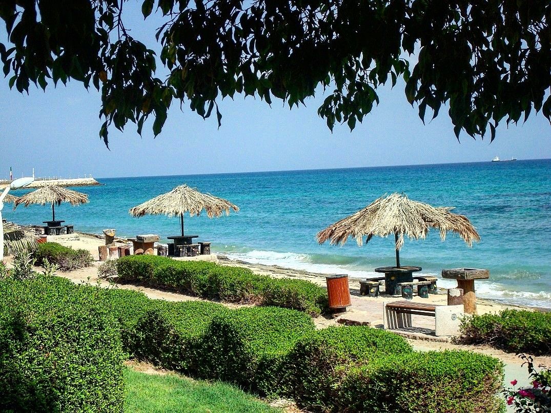 کیش